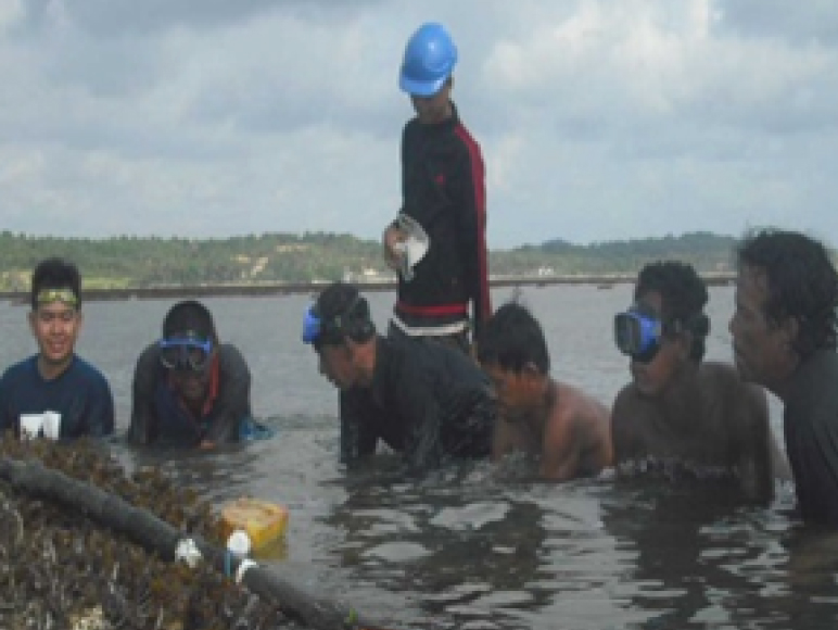 Reburial Submarine Cable